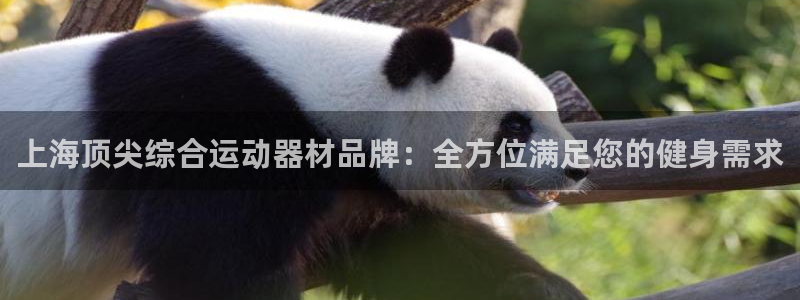意昂3集团简介：上海顶尖综合运动器材品牌：全方位满足