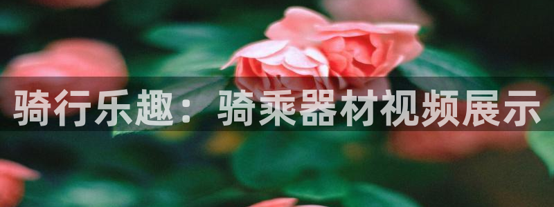 注册意昂3：骑行乐趣：骑乘器材视频展示