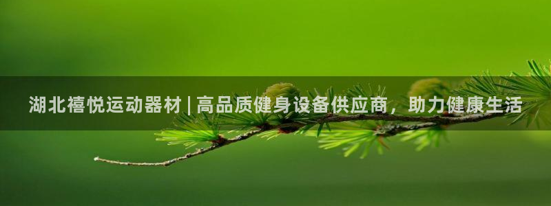 意昂体育3招商电话号码是多少号：湖北禧悦运动器材 | 高品质
