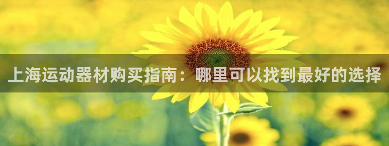 意昂3官方：上海运动器材购买指南：哪里可以找到最好的