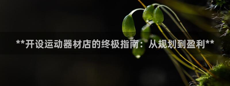 海南意昂体育3：**开设运动器材店的终极指南：从规划