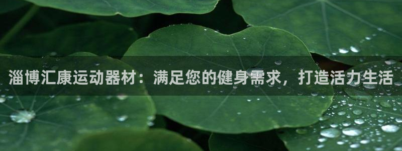 意昂体育3平台注册要钱吗是真的吗：淄博汇康运动器材：
