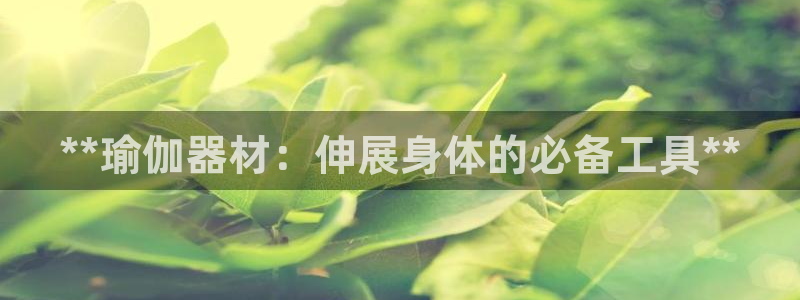 意昂3娱乐首页网站大全：**瑜伽器材：伸展身体的必备