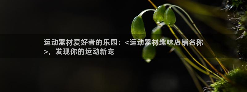 意昂3集团logo：运动器材爱好者的乐园：<运动器材
