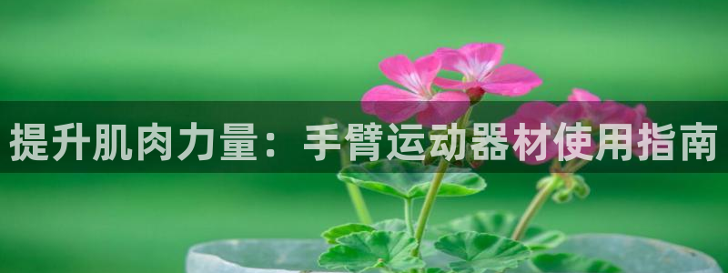 意昂集团官网：提升肌肉力量：手臂运动器材使用指南