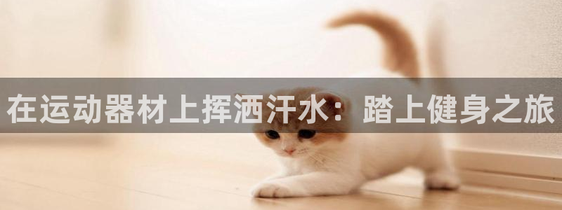 意昂3集团E.ON：在运动器材上挥洒汗水：踏上健身之