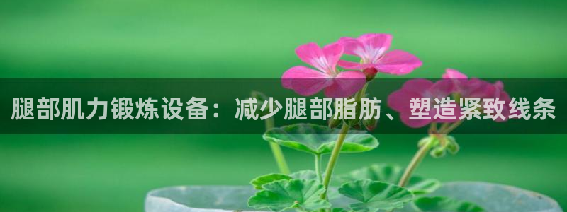 意昂集团官网：腿部肌力锻炼设备：减少腿部脂肪、塑造紧
