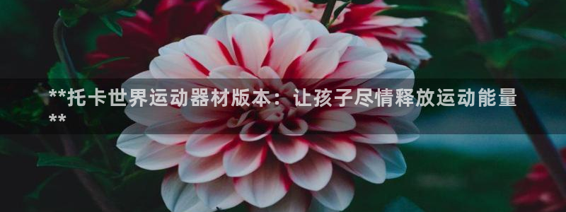 意昂3娱乐平台：**托卡世界运动器材版本：让孩子尽情