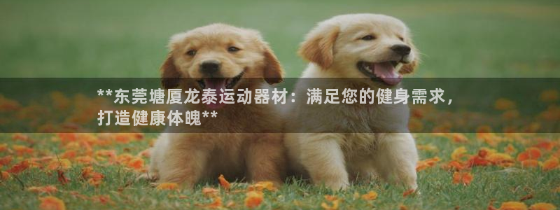 注册意昂3：**东莞塘厦龙泰运动器材：满足您的健身需