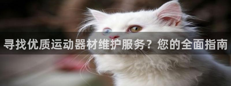 意昂体育3平台注册要钱吗：寻找优质运动器材维护服务？