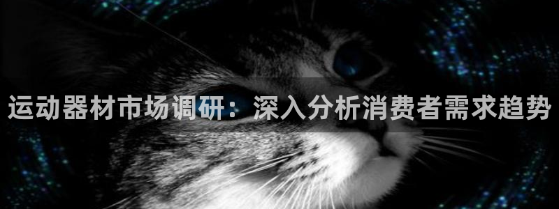 意昂3娱乐：运动器材市场调研：深入分析消费者需求趋势