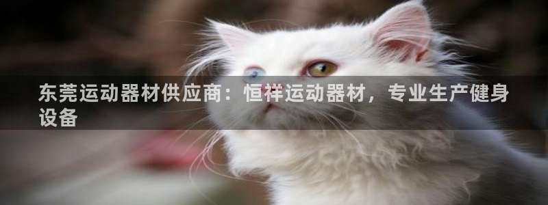 注册意昂3：东莞运动器材供应商：恒祥运动器材，专业生