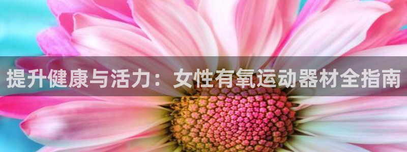 意昂平台体育：提升健康与活力：女性有氧运动器材全指南