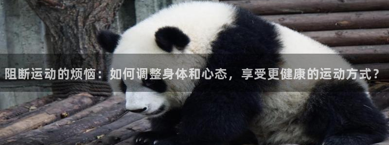 意昂集团官网