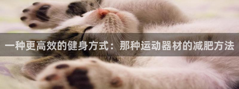 意昂3神州