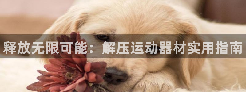 意昂体育3平台注册流程图