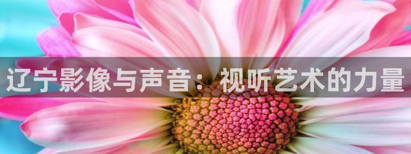 宅男视频在线污