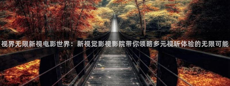 宅男视频网