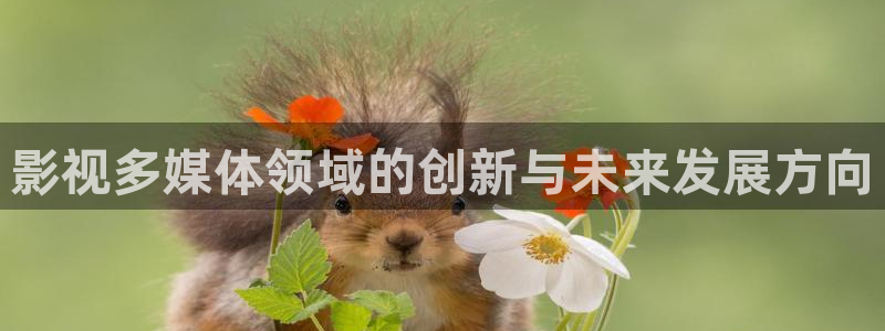 深夜宅男视频