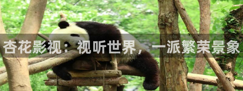 久久宅男视频
