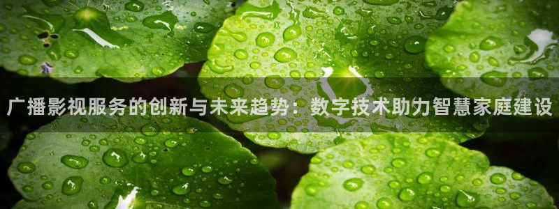 夜间宅男视频